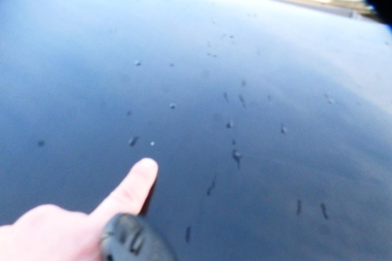 2024 Nissan Murano SV AWD w/Htd Leather, pano S/R, NAV, BUC - Photo #37