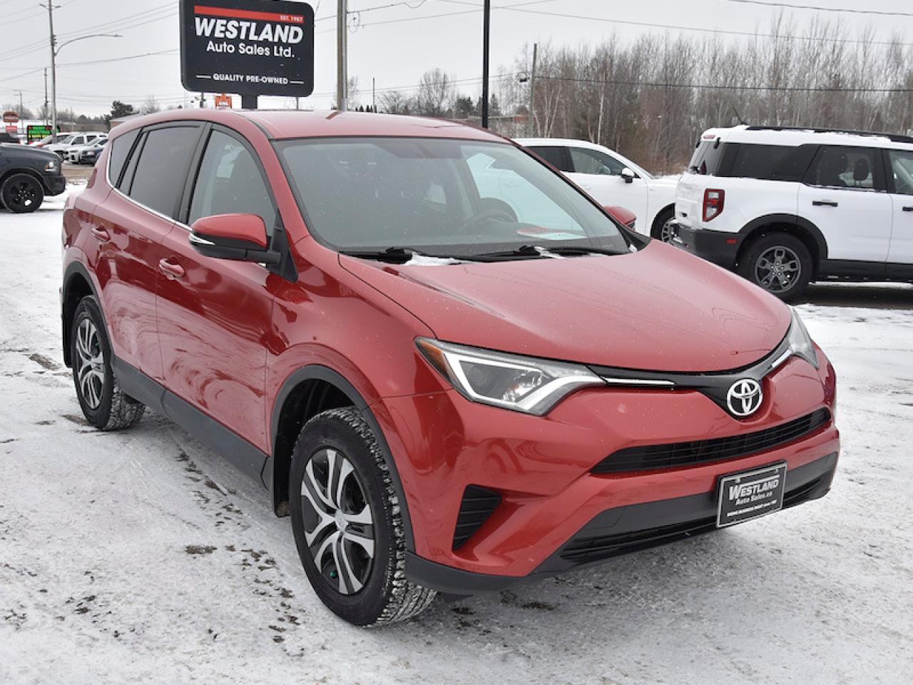 2016 Toyota RAV4 LE Photo