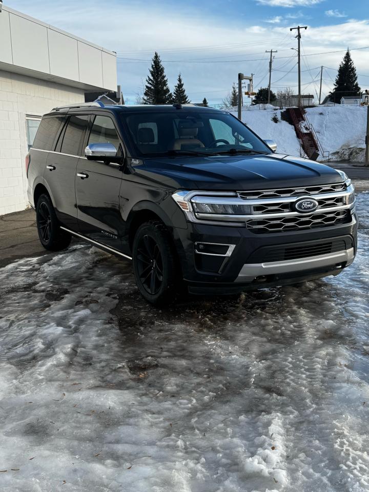 2022 Ford Expedition Platinum Photo1