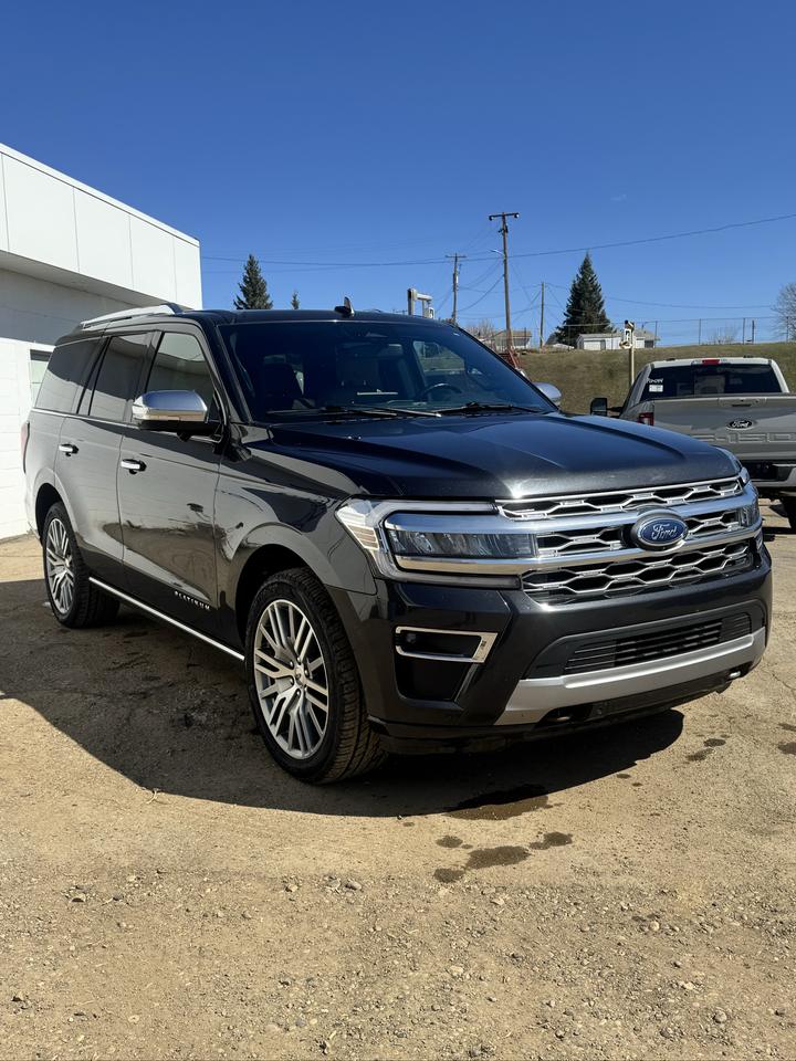 2022 Ford Expedition Platinum Photo1