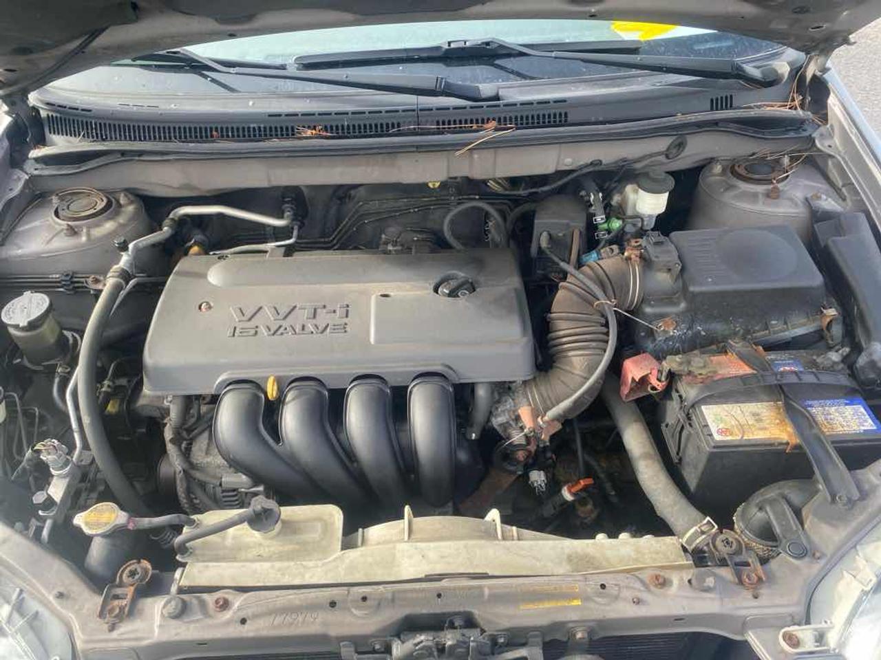 2003 Toyota Corolla LE Photo