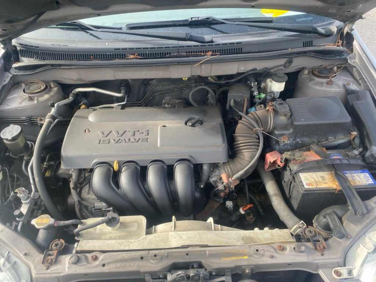 2003 Toyota Corolla LE - Photo #7