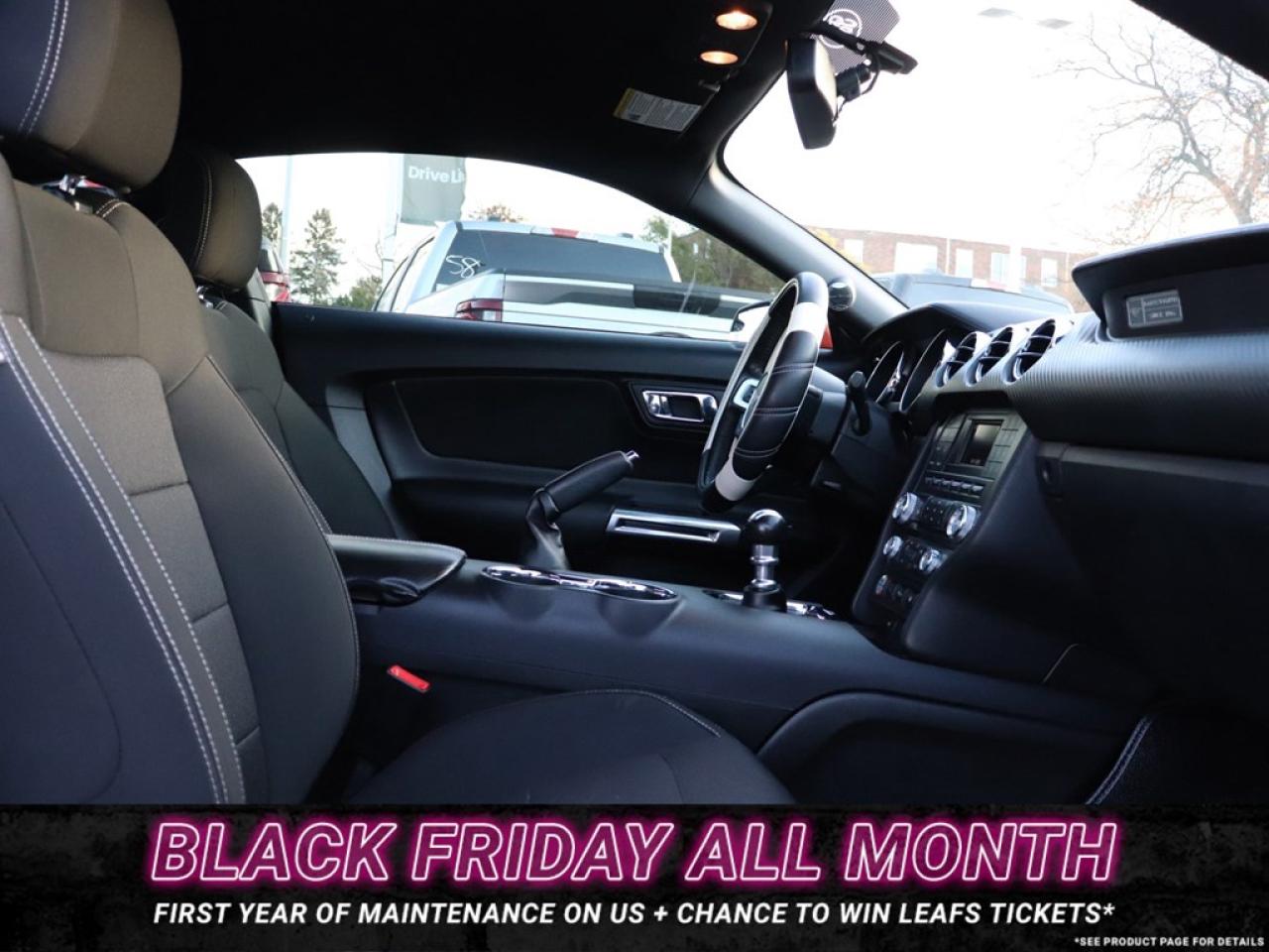 2015 Ford Mustang Coupe | V6 | 3.7L | 6-SPD | LOW KMS! Photo