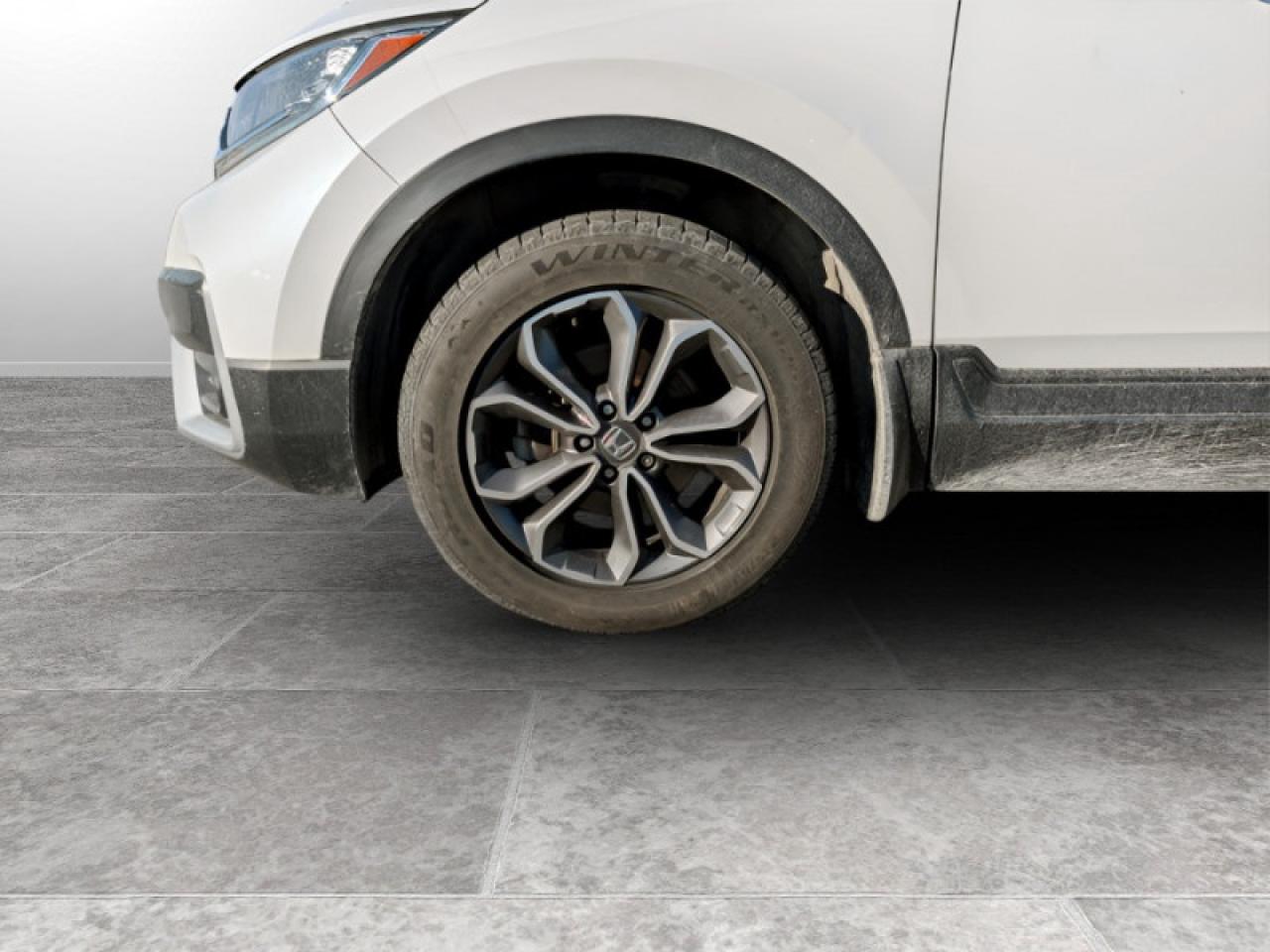 2021 Honda CR-V EX-L  **AWD - CLEAN CARFAX - APPLE CP* Photo