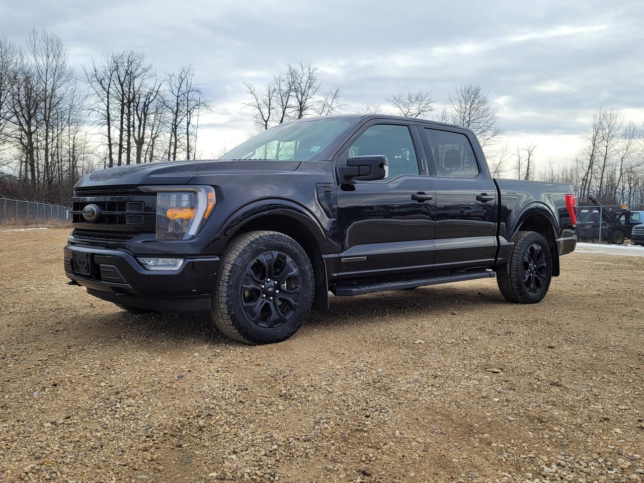 2022 Ford F-150 XLT Photo