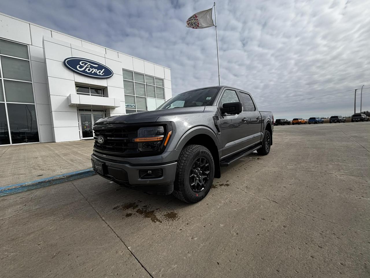 2026 Ford F-150 XLT 4WD SuperCrew 5.5' Box Photo0