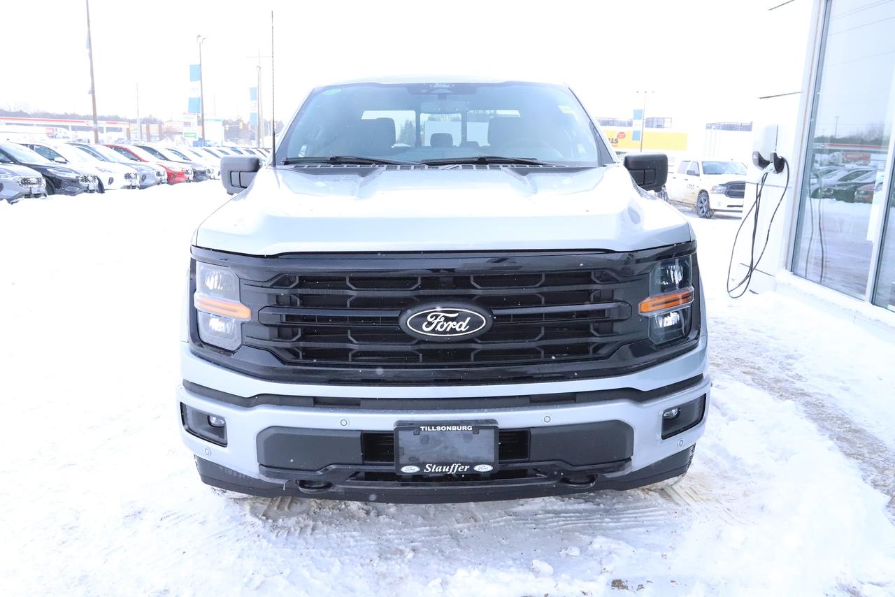 2026 Ford F-150 XLT 4WD SuperCrew 5.5' Box Photo