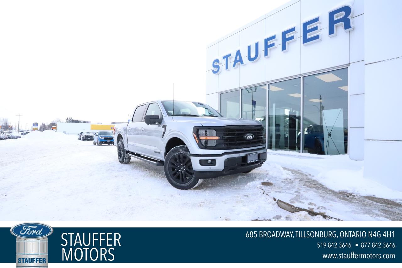 2026 Ford F-150 XLT 4WD SuperCrew 5.5' Box Photo