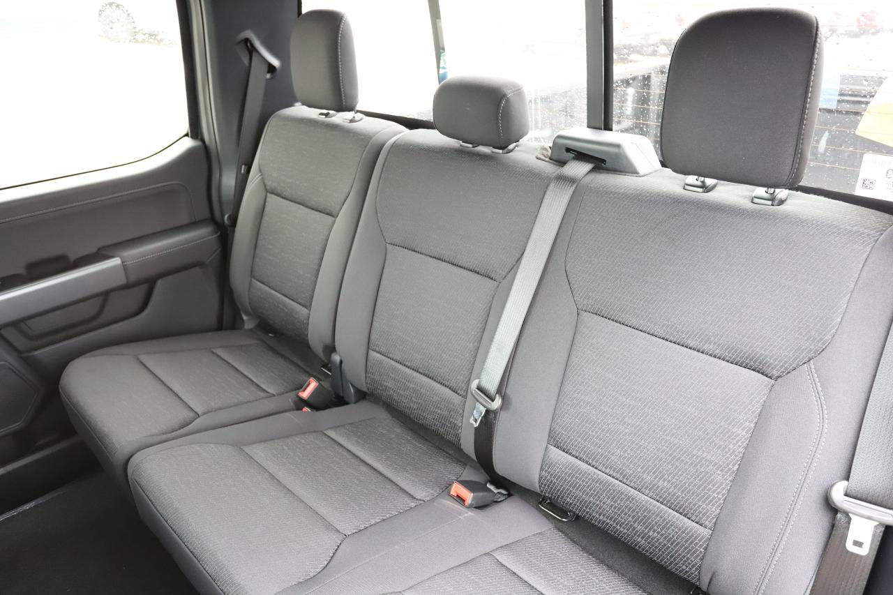 2026 Ford F-150 XLT 4WD SuperCrew 6.5' Box Photo