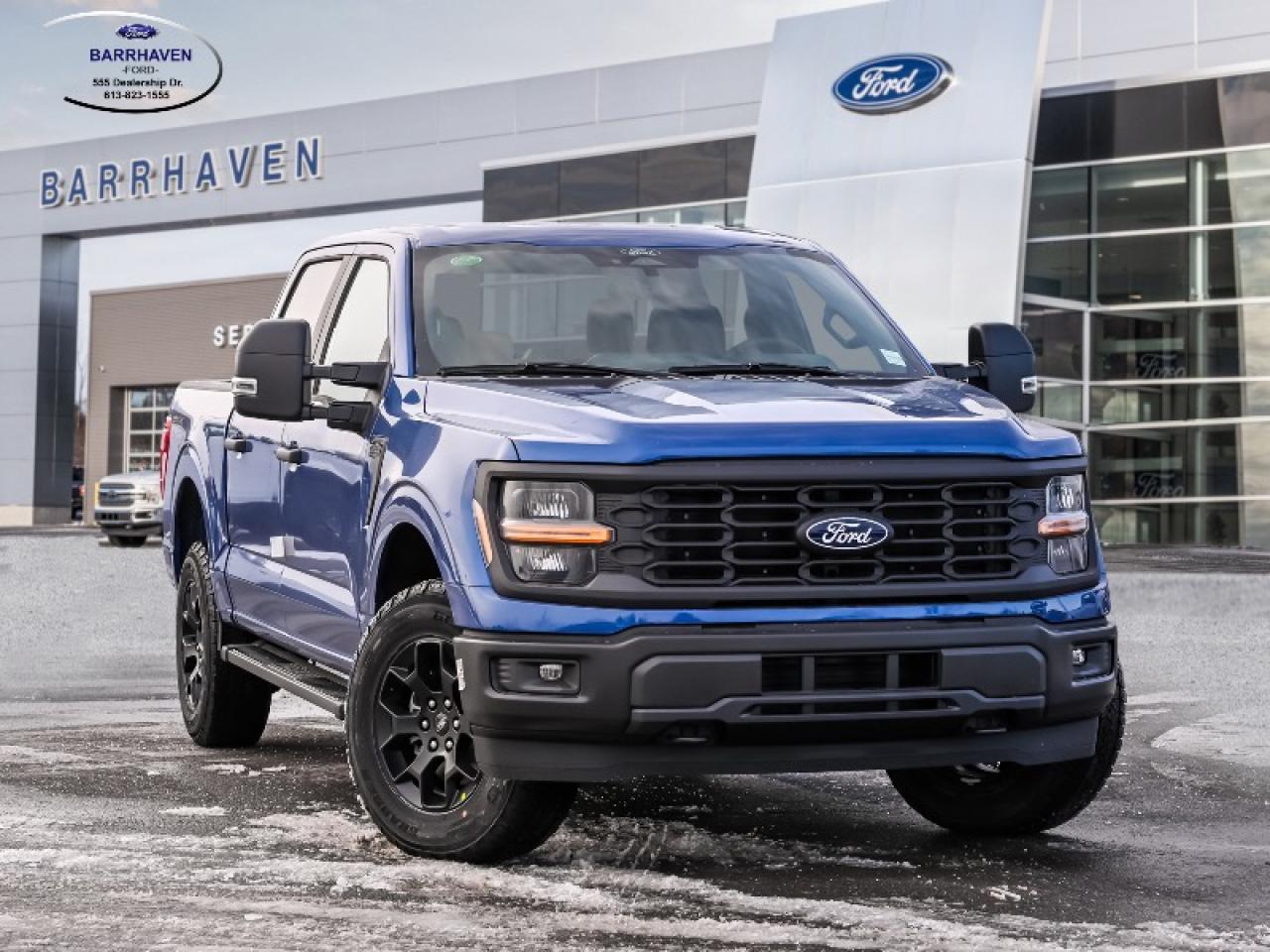 2025 Ford F-150 STX Photo0
