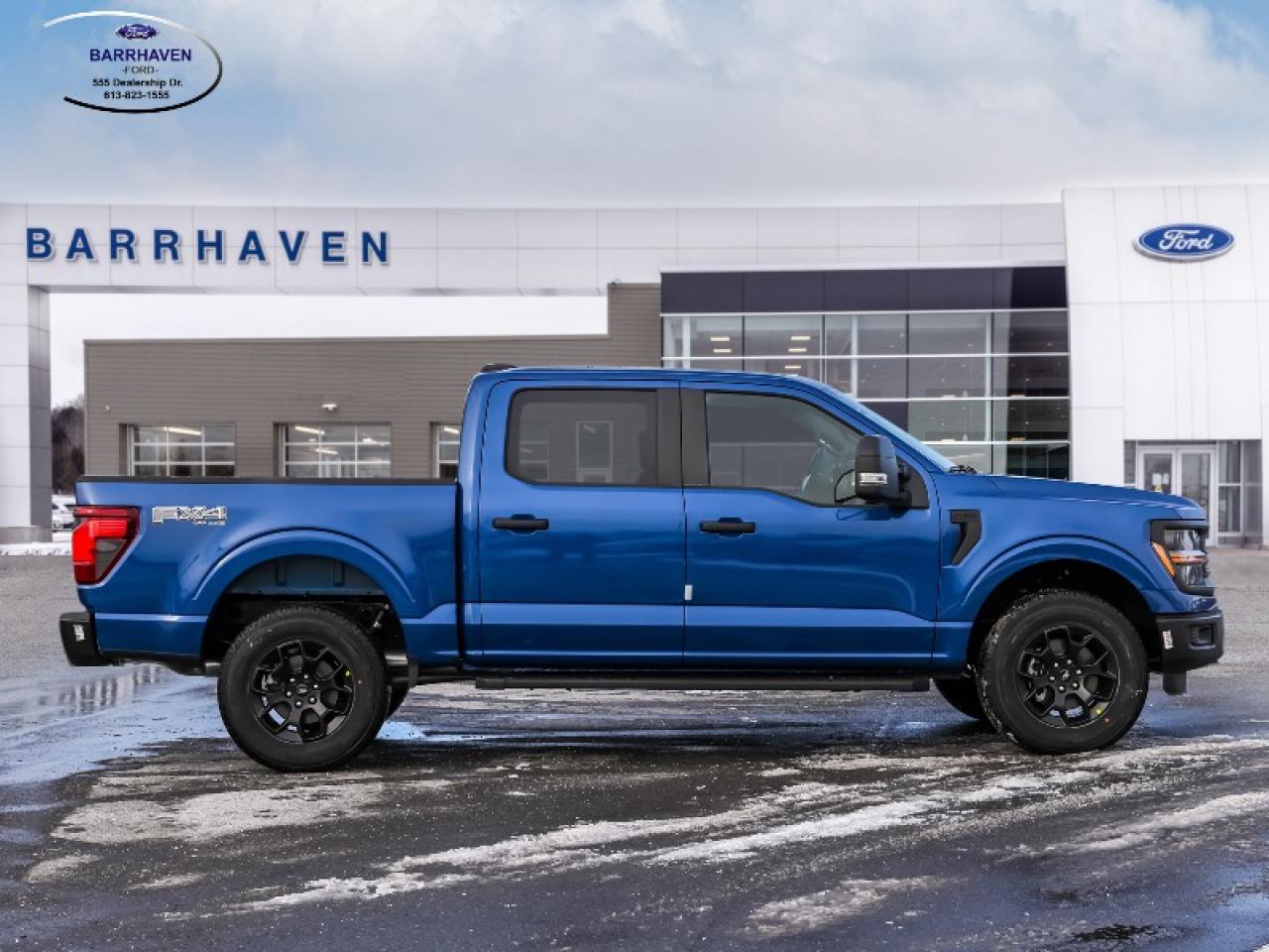 2025 Ford F-150 STX Photo