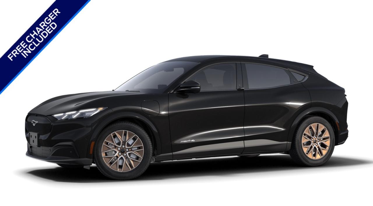 2025 Ford Mustang Mach-E Premium Photo0