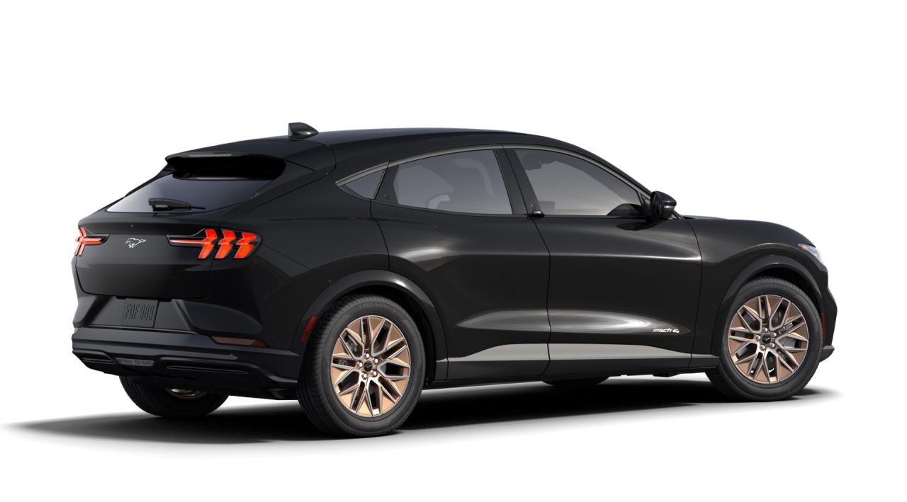 2025 Ford Mustang Mach-E Premium Photo