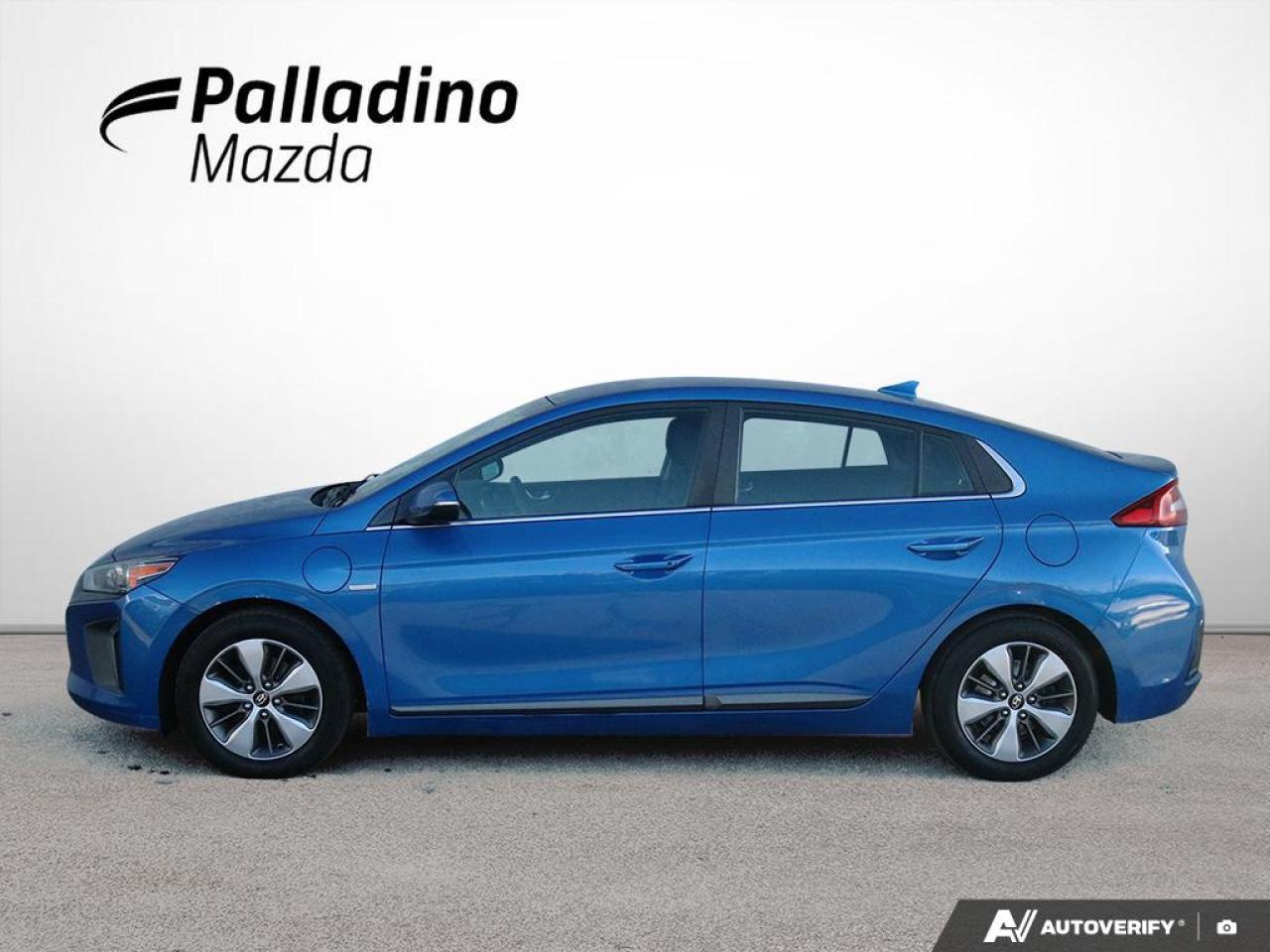 2018 Hyundai IONIQ Electric Plus SE Photo2