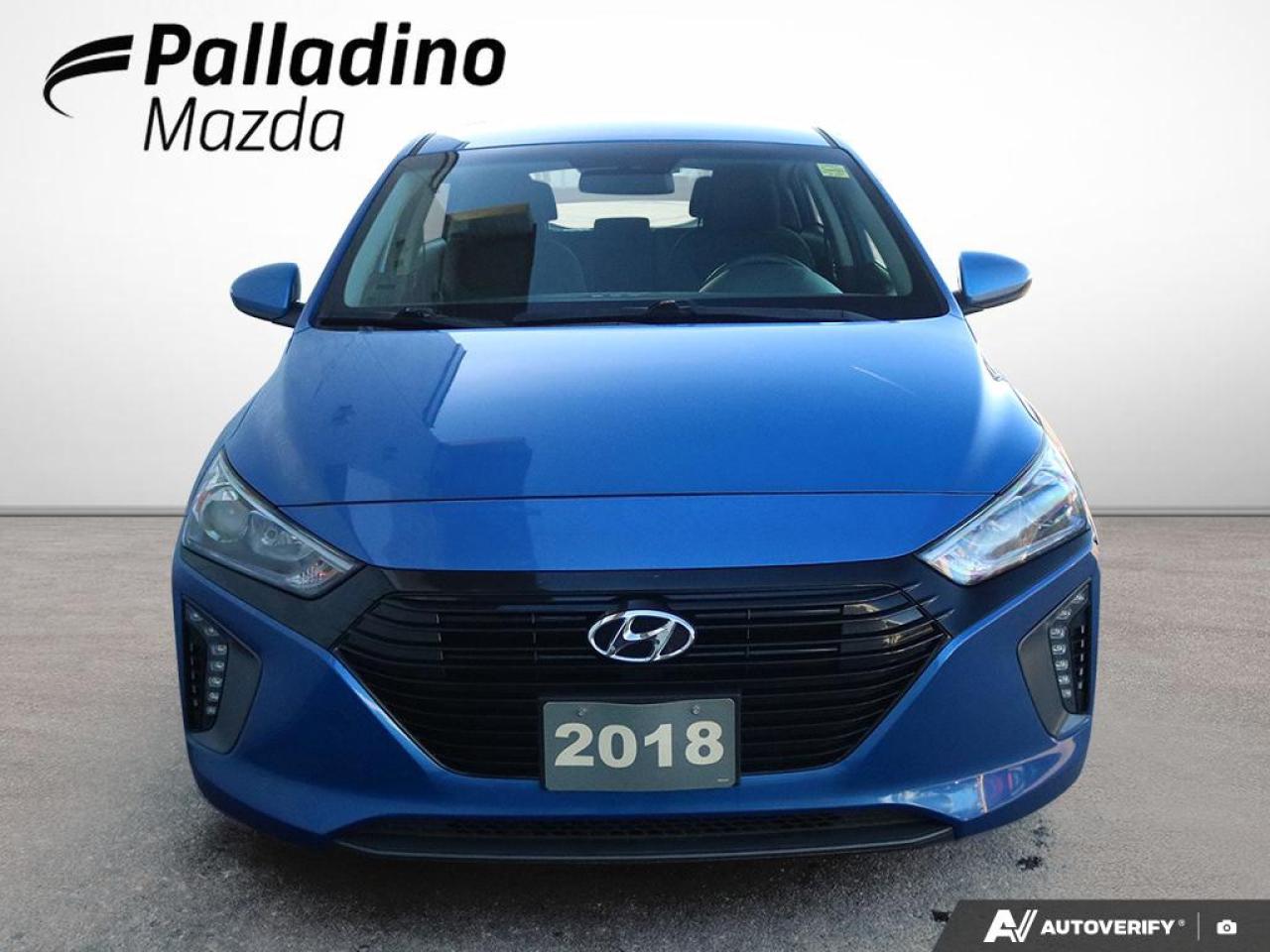 2018 Hyundai IONIQ Electric Plus SE Photo