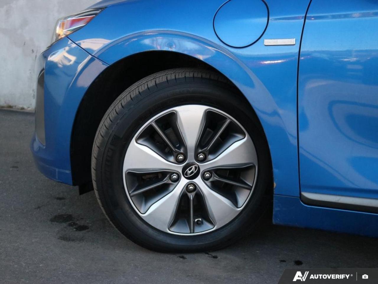 2018 Hyundai IONIQ Electric Plus SE Photo