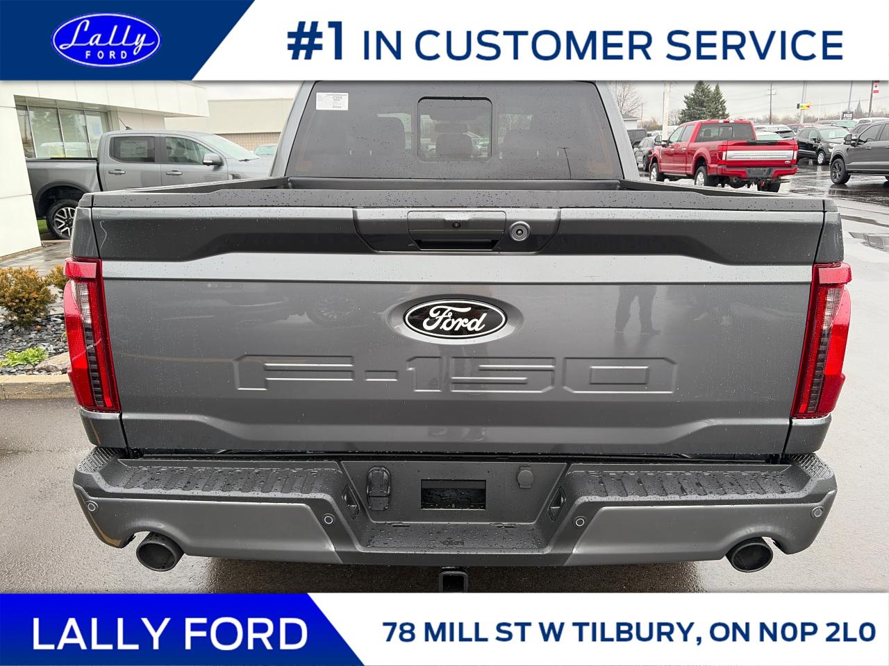 2025 Ford F-150 XLT Photo3