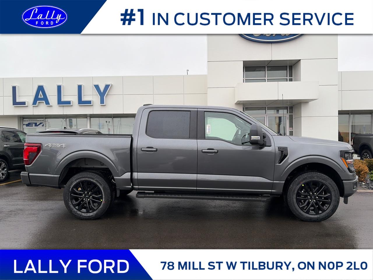 2025 Ford F-150 XLT Photo