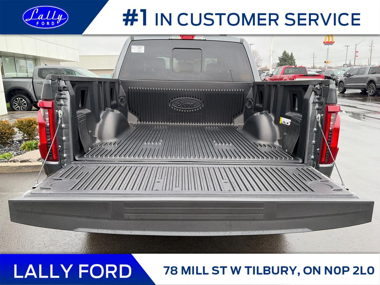 2025 Ford F-150 XLT Photo