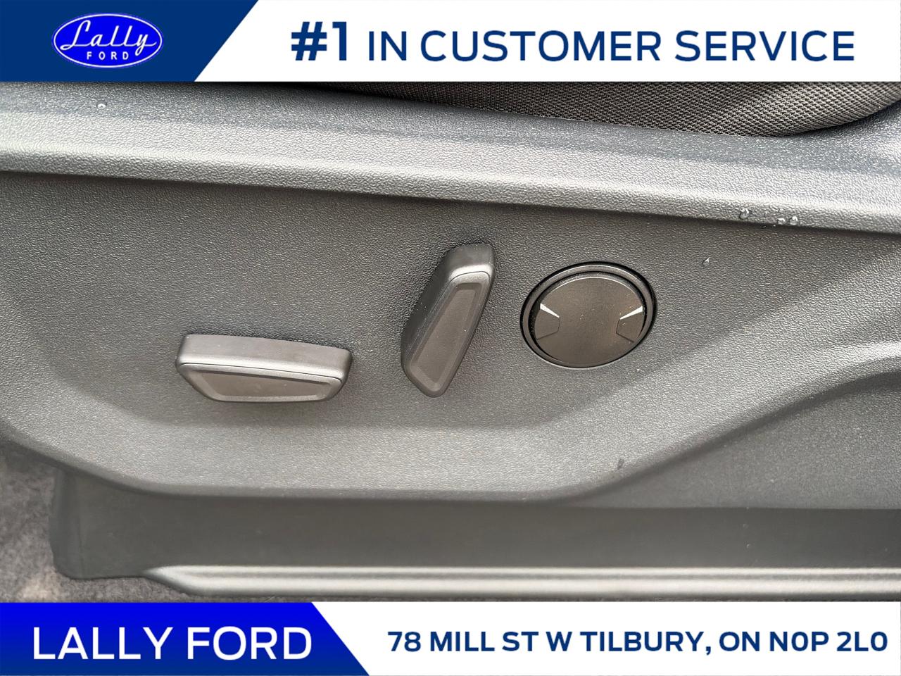 2025 Ford F-150 XLT Photo