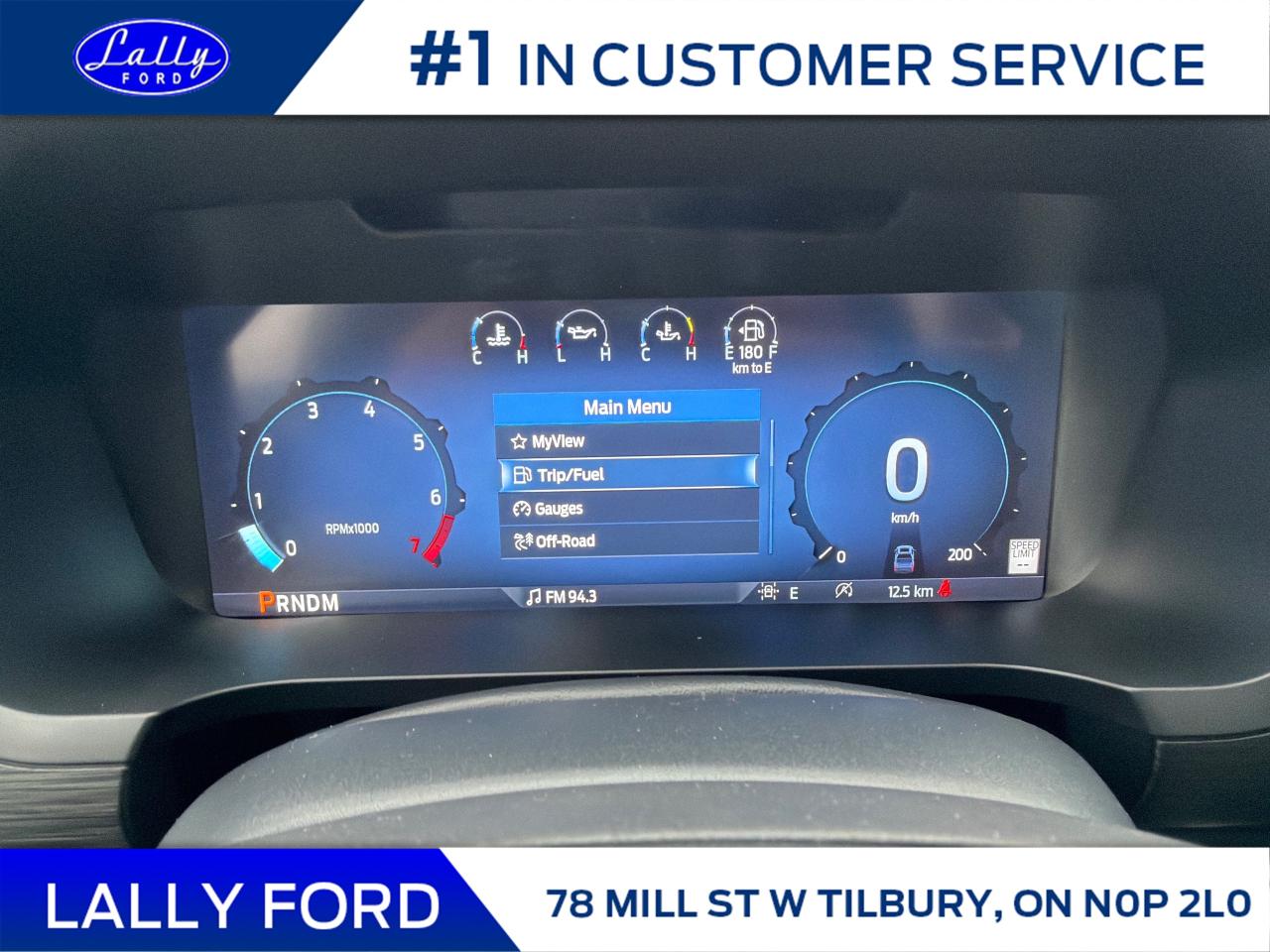 2025 Ford F-150 XLT Photo