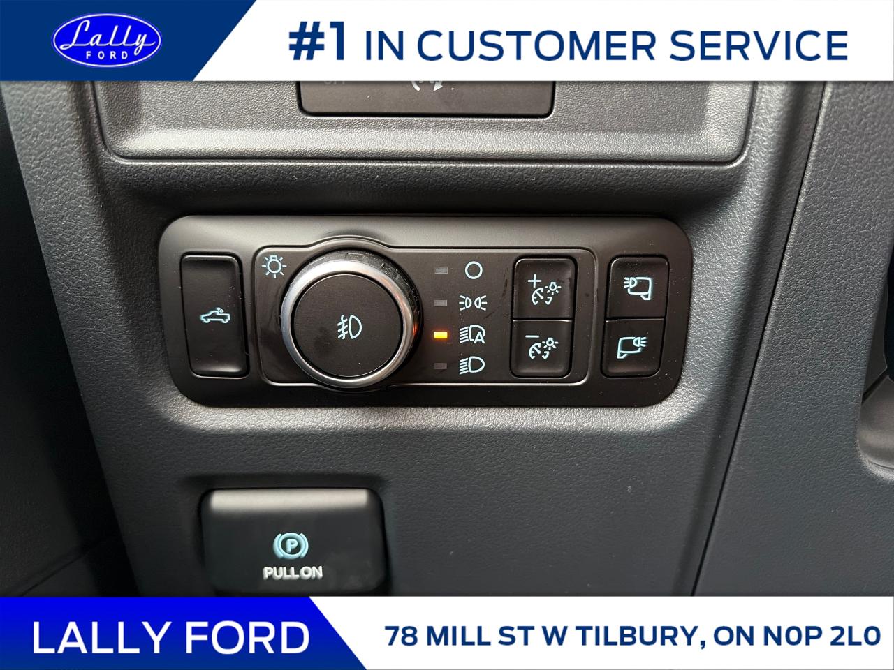 2025 Ford F-150 XLT Photo