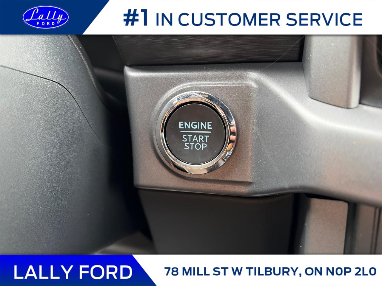 2025 Ford F-150 XLT Photo