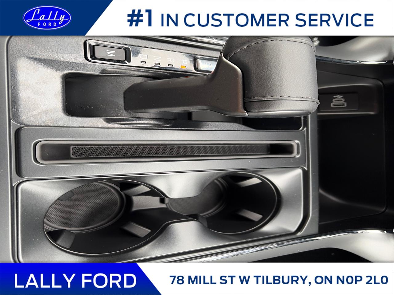 2025 Ford F-150 XLT Photo