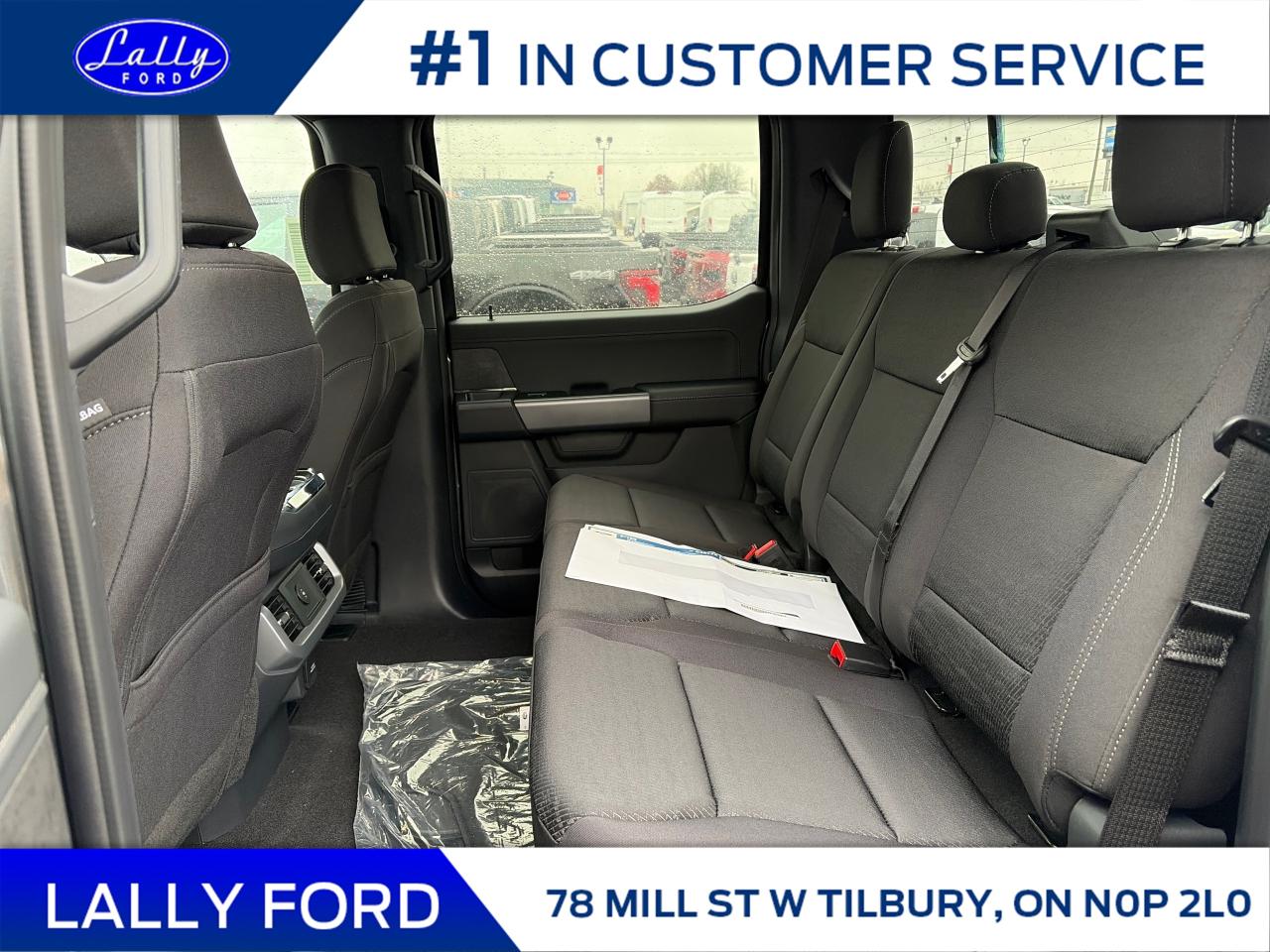 2025 Ford F-150 XLT Photo