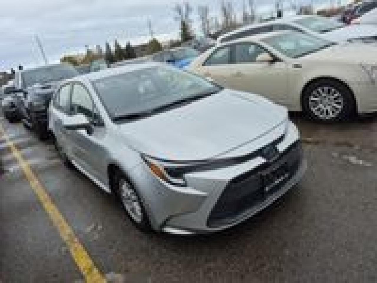 2025 Toyota Corolla HYBRID LE | NO ACCIDENTS | BLIND SPOT | APP CONNECT Photo