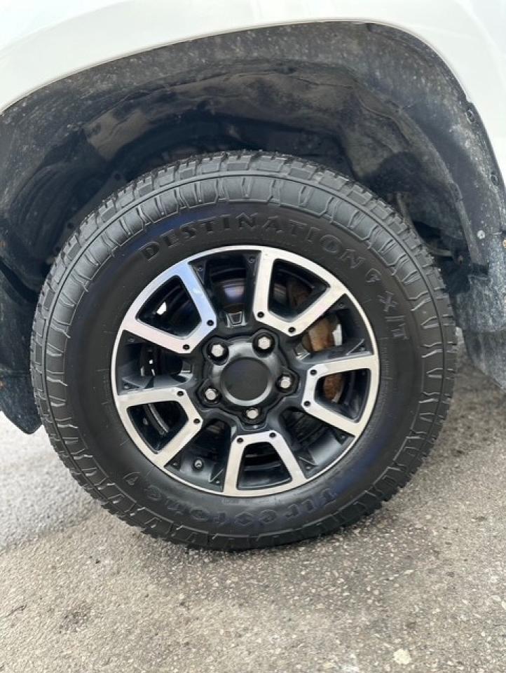 2020 Toyota Tundra TRD SR5 CrewMax Photo