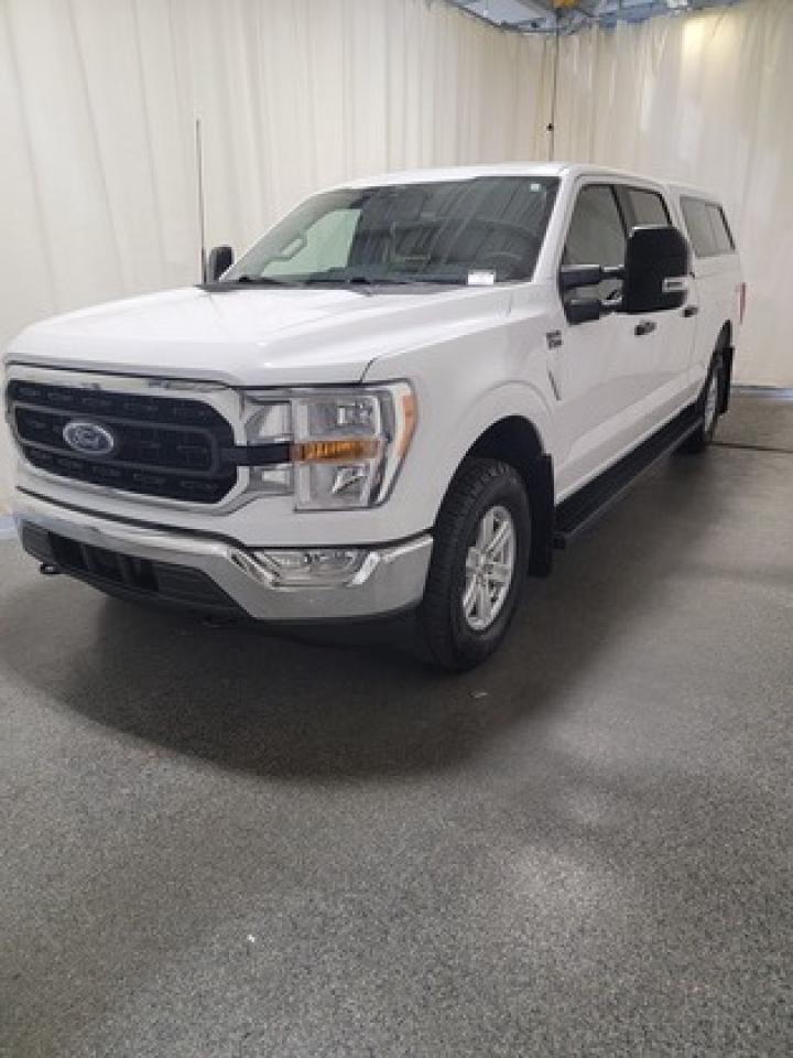 Used 2022 Ford F-150 XLT | 5.0 V8 | 6.5' BOX | LOCKER | TRAILER TOW for sale in Regina, SK