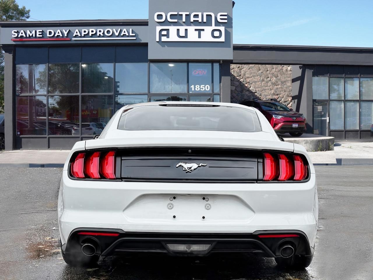 2018 Ford Mustang EcoBoost Fastback Photo