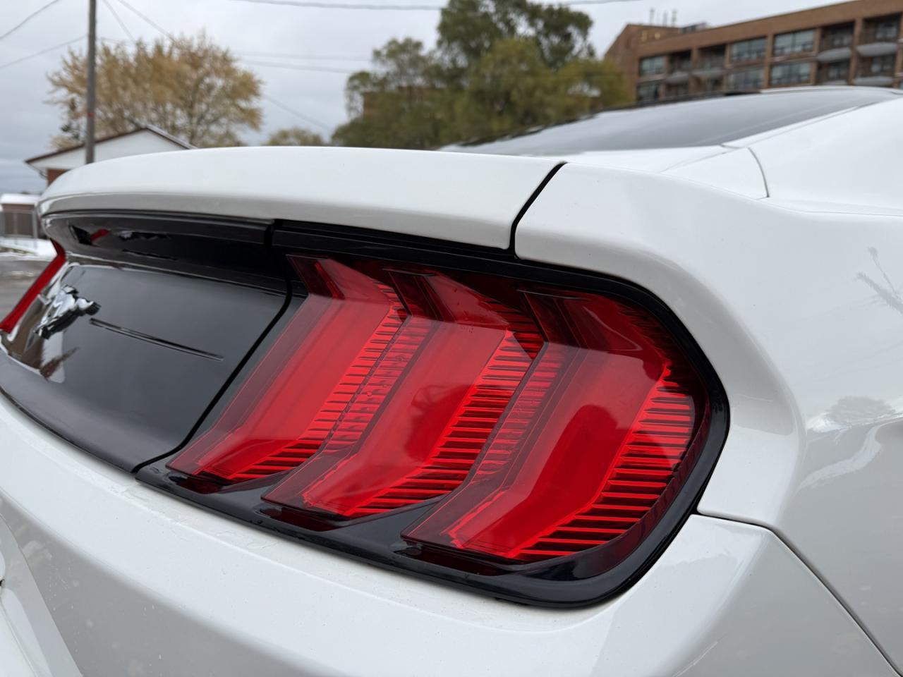 2018 Ford Mustang EcoBoost Fastback Photo