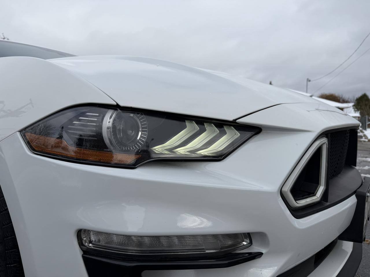 2018 Ford Mustang EcoBoost Fastback Photo