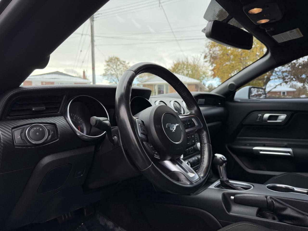 2018 Ford Mustang EcoBoost Fastback Photo