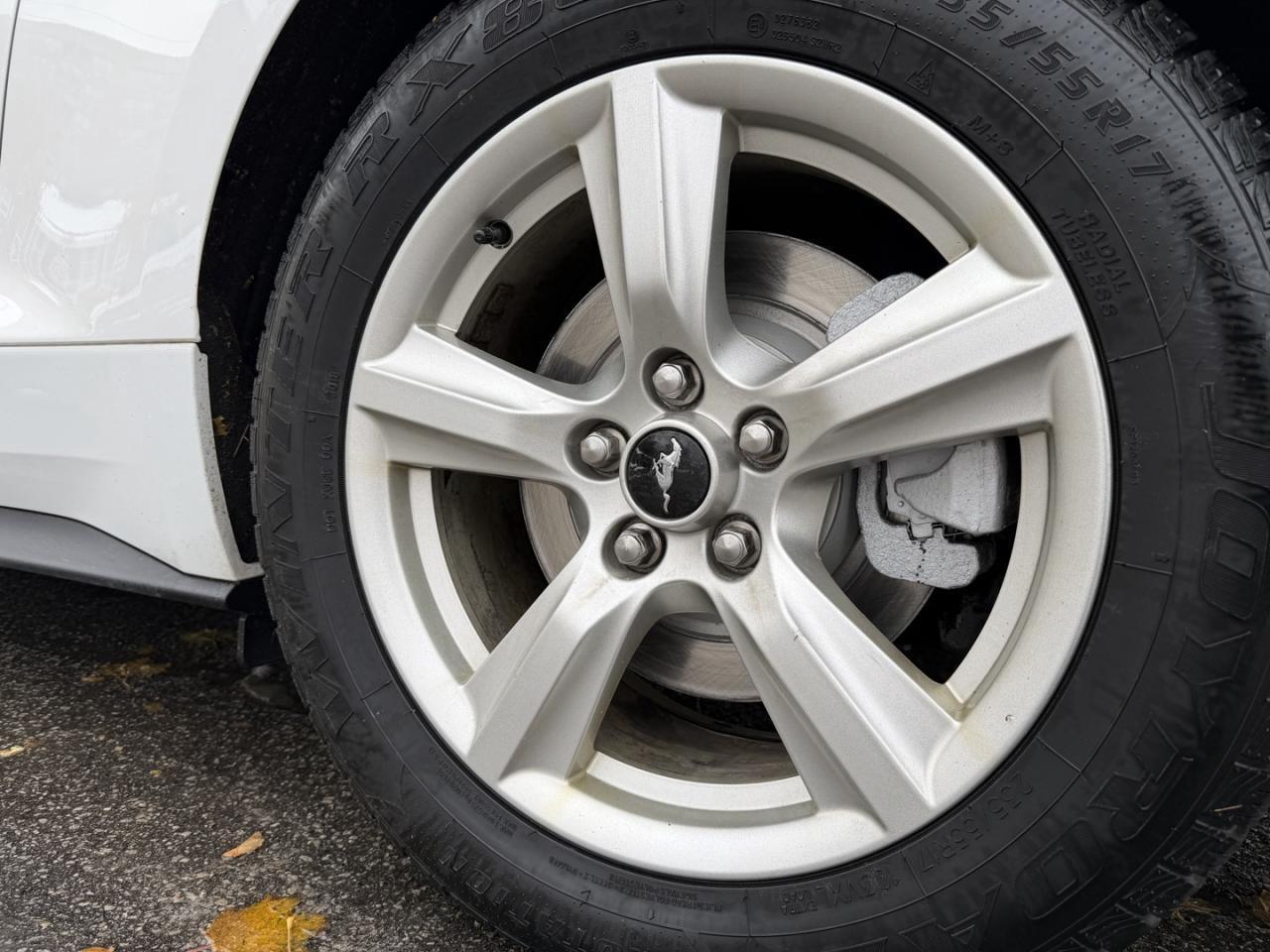 2018 Ford Mustang EcoBoost Fastback Photo