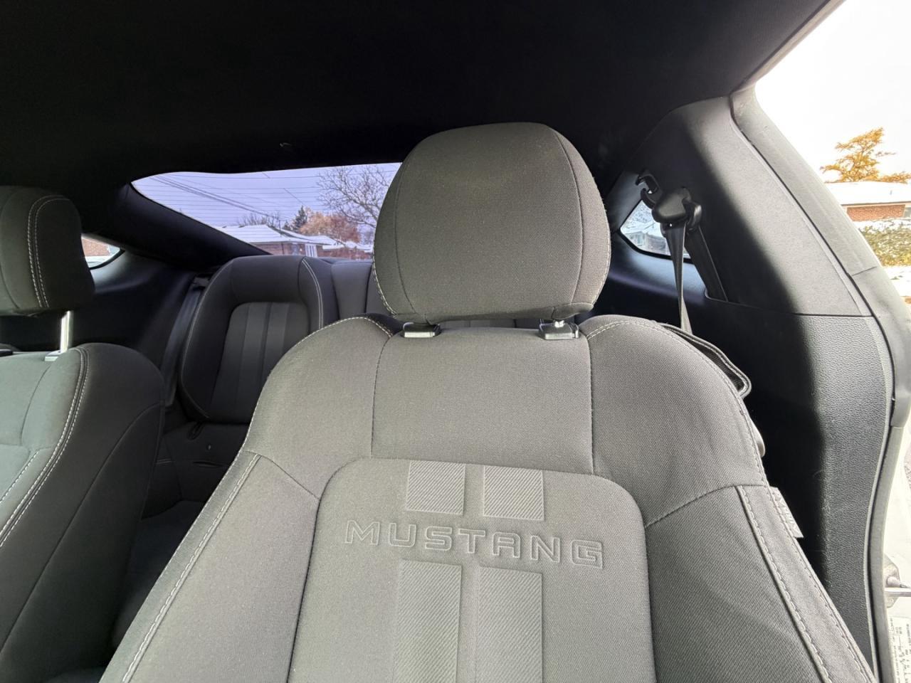 2018 Ford Mustang EcoBoost Fastback Photo