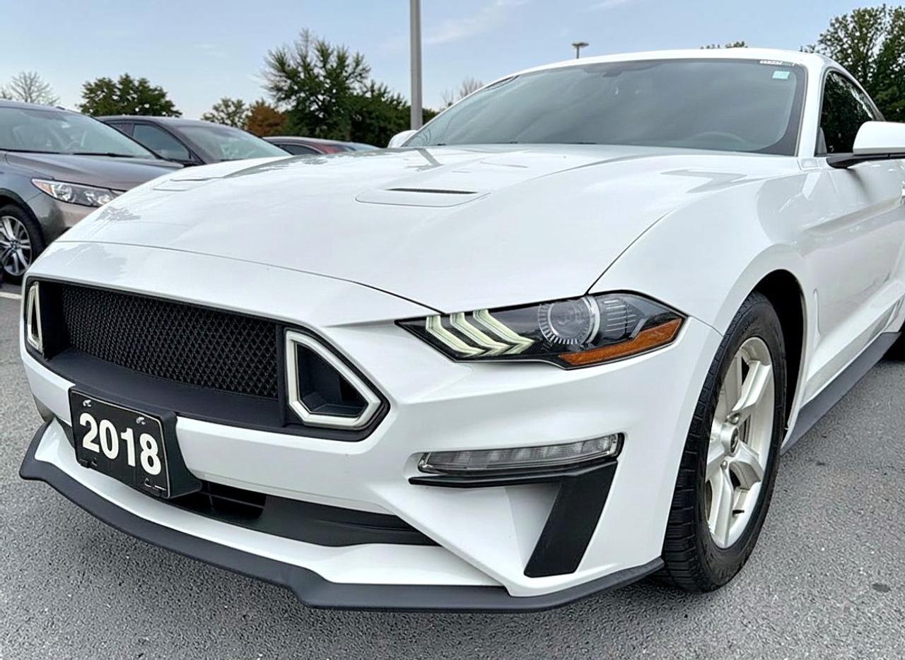 2018 Ford Mustang EcoBoost Fastback Photo