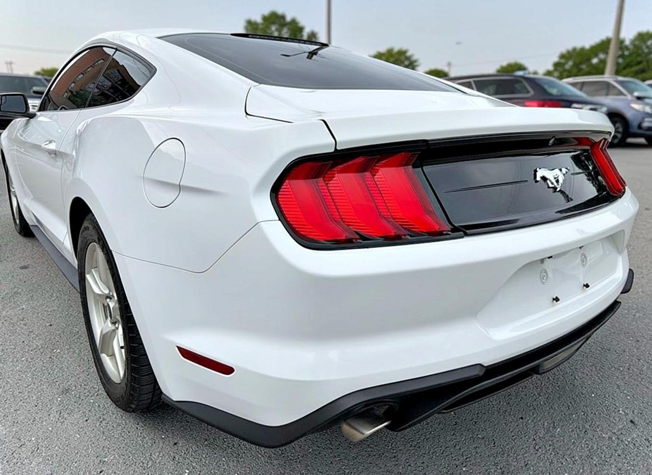 2018 Ford Mustang EcoBoost Fastback Photo