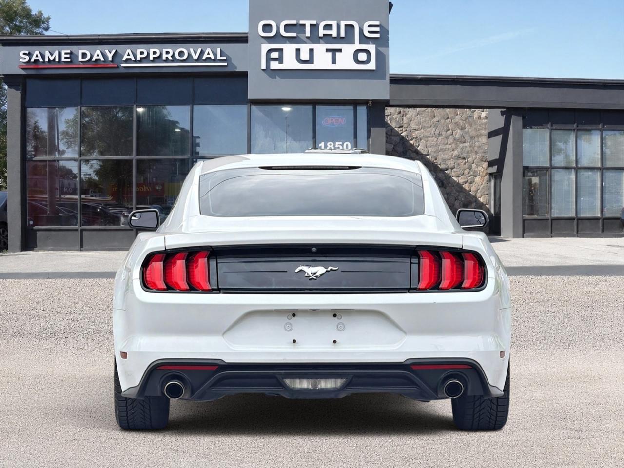 2018 Ford Mustang EcoBoost Fastback Photo