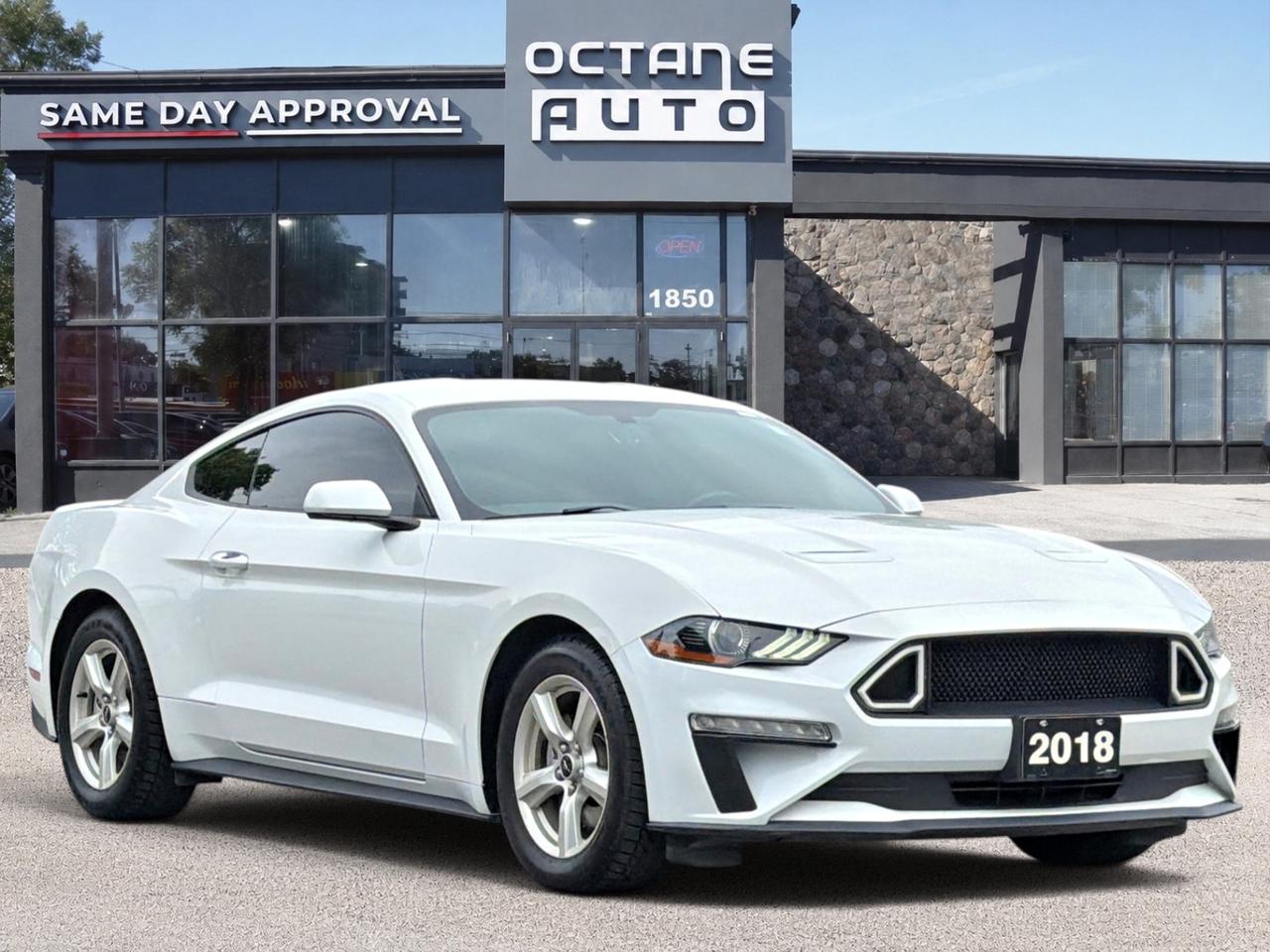 2018 Ford Mustang EcoBoost Fastback Photo