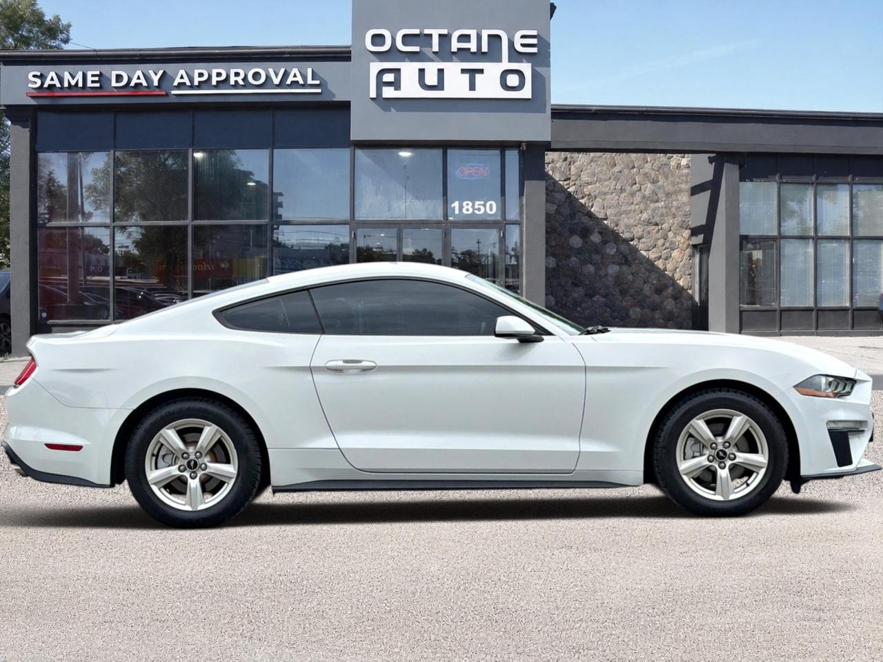 2018 Ford Mustang EcoBoost Fastback Photo