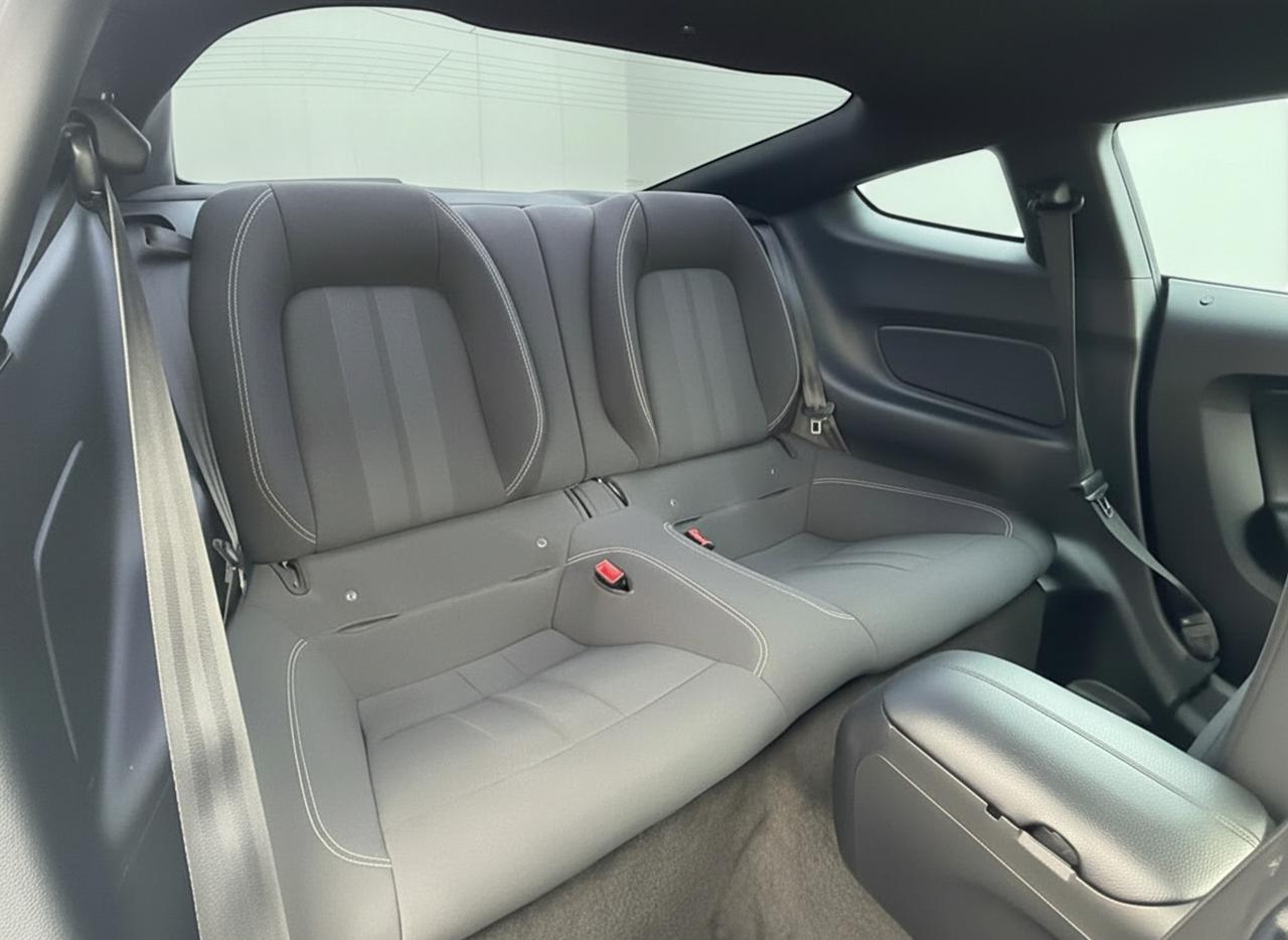 2018 Ford Mustang EcoBoost Fastback Photo