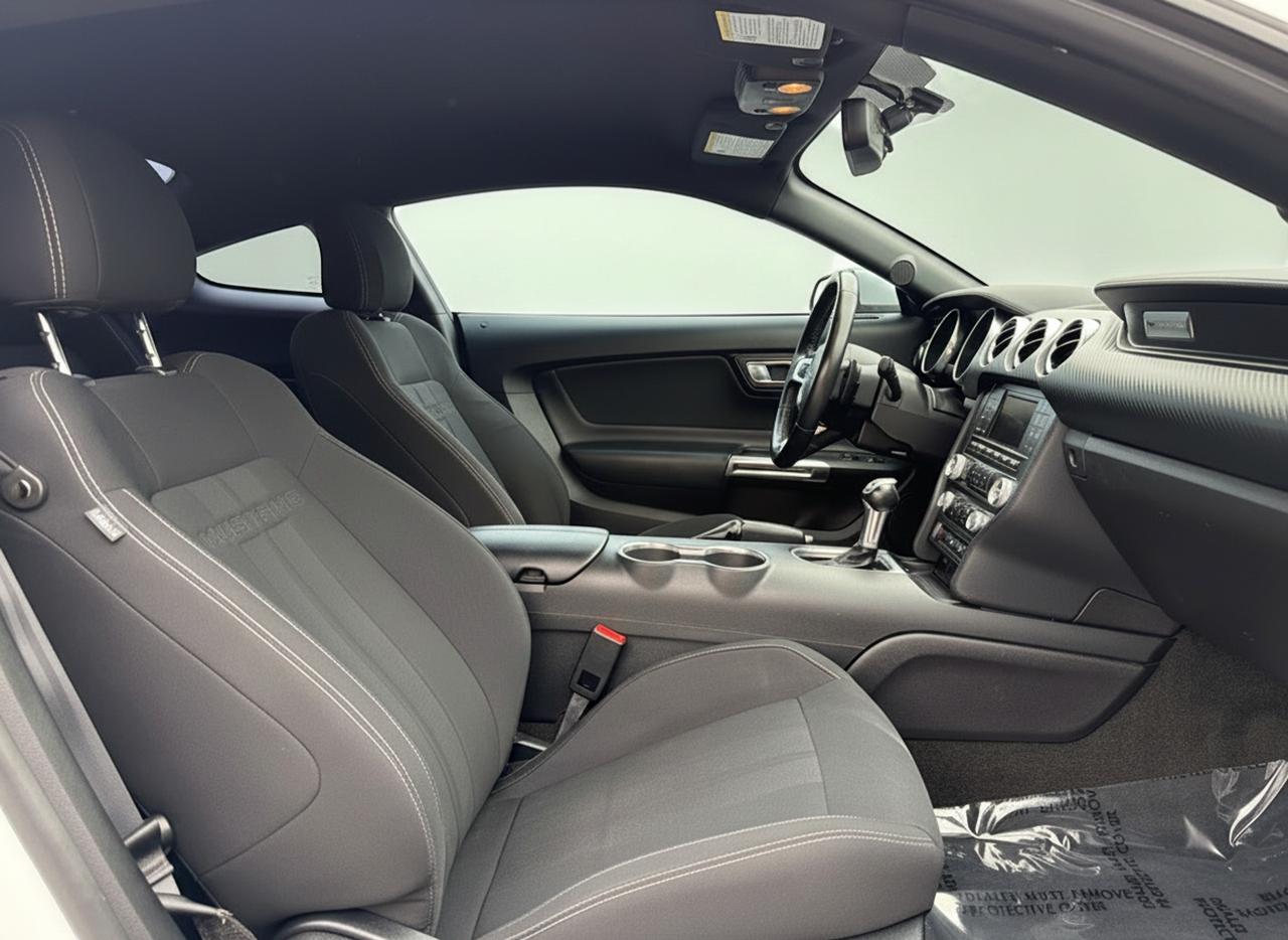 2018 Ford Mustang EcoBoost Fastback Photo