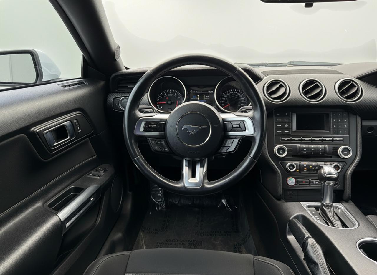 2018 Ford Mustang EcoBoost Fastback Photo