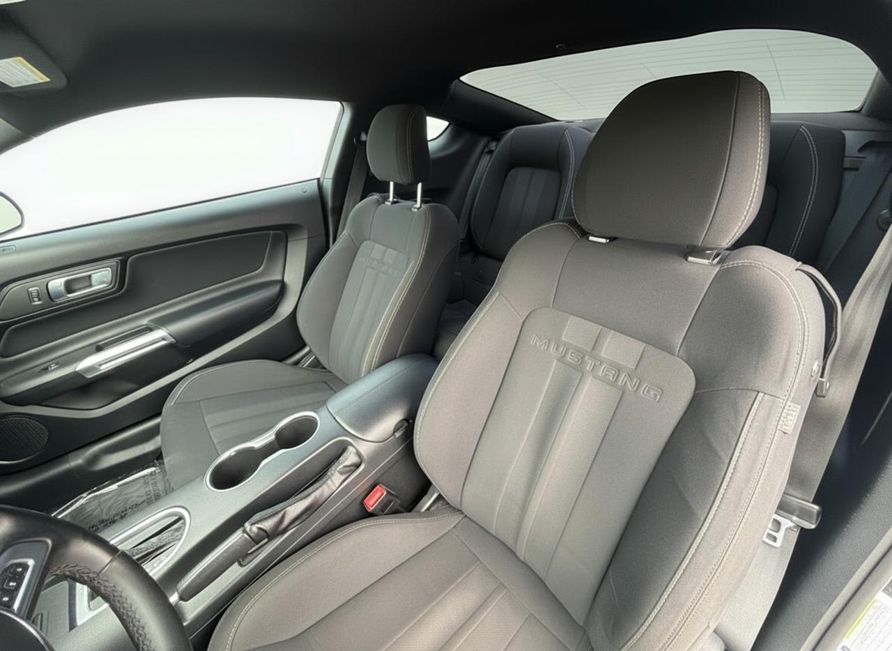 2018 Ford Mustang EcoBoost Fastback Photo