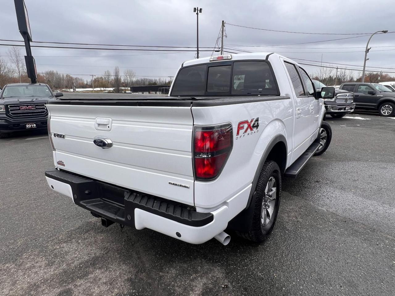 2014 Ford F-150 FX4 Photo4