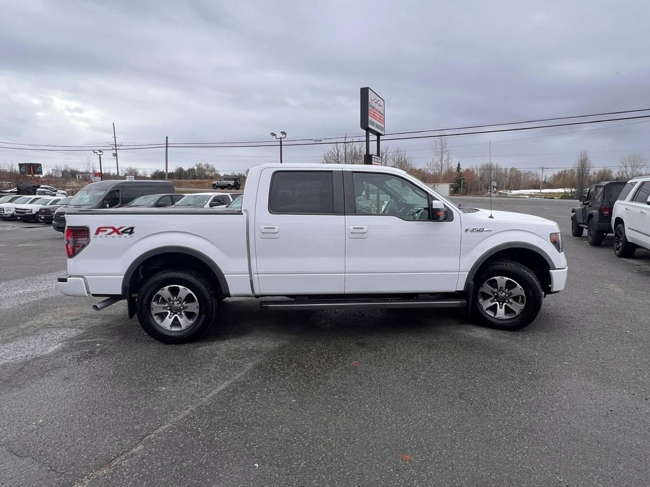 2014 Ford F-150 FX4 - Photo #6