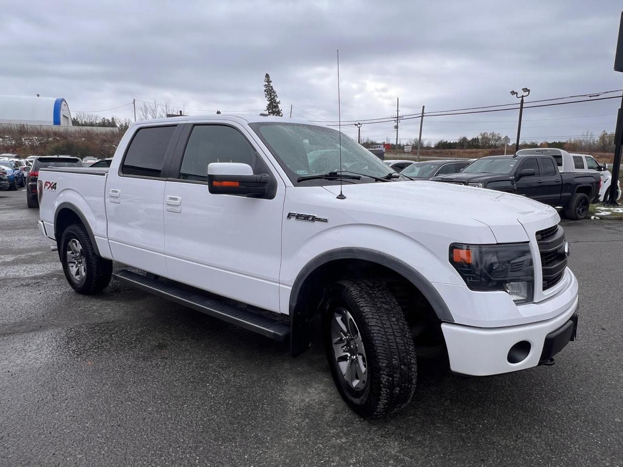 2014 Ford F-150 FX4 - Photo #7